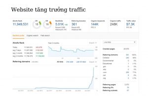 Website tăng trưởng traffic